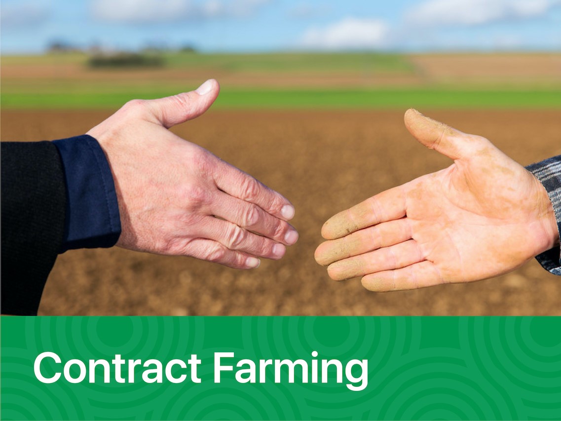 Agricultural Supply Contract