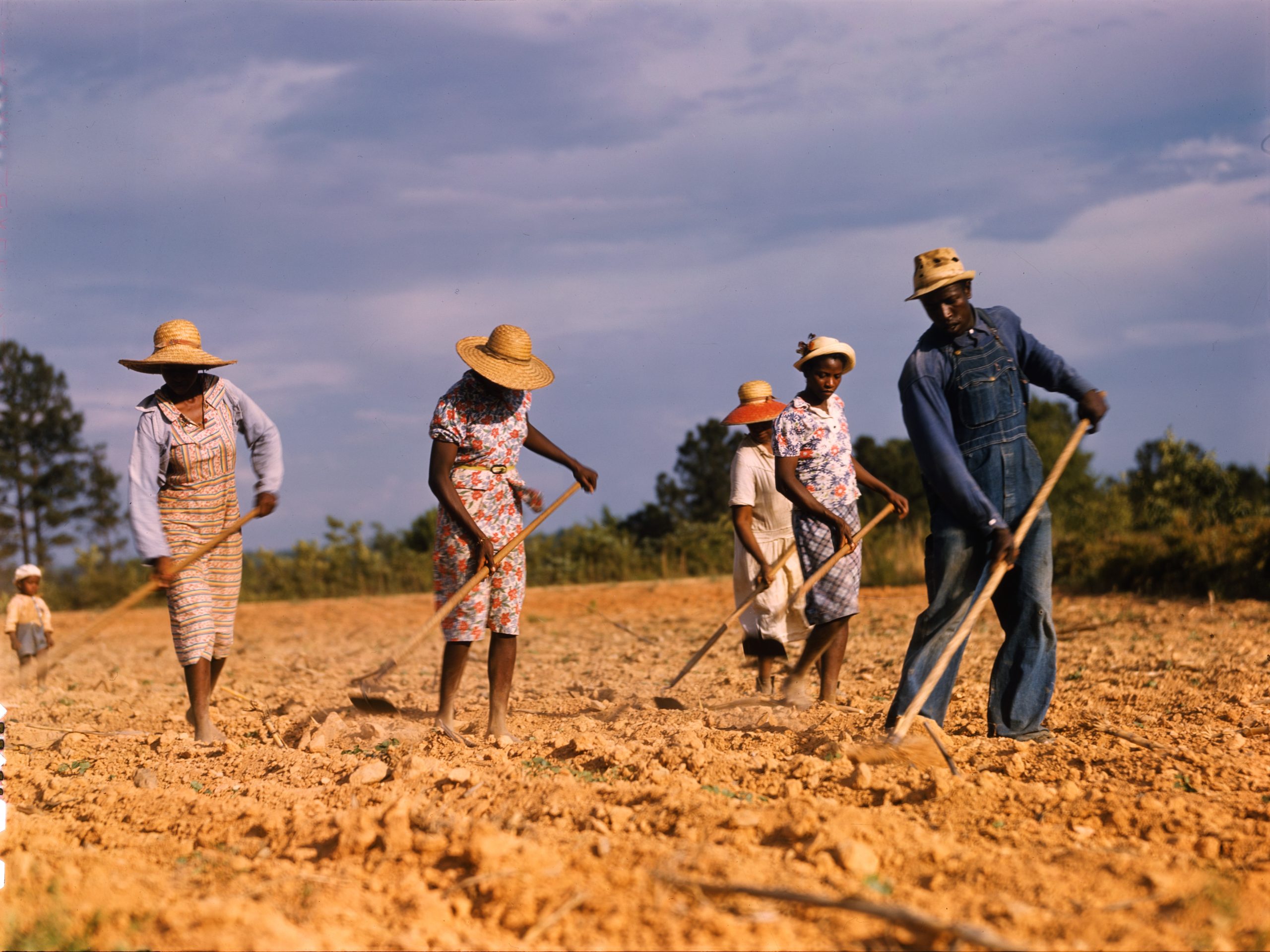 Crop Share Contract