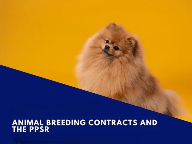 Livestock Breeding Contract